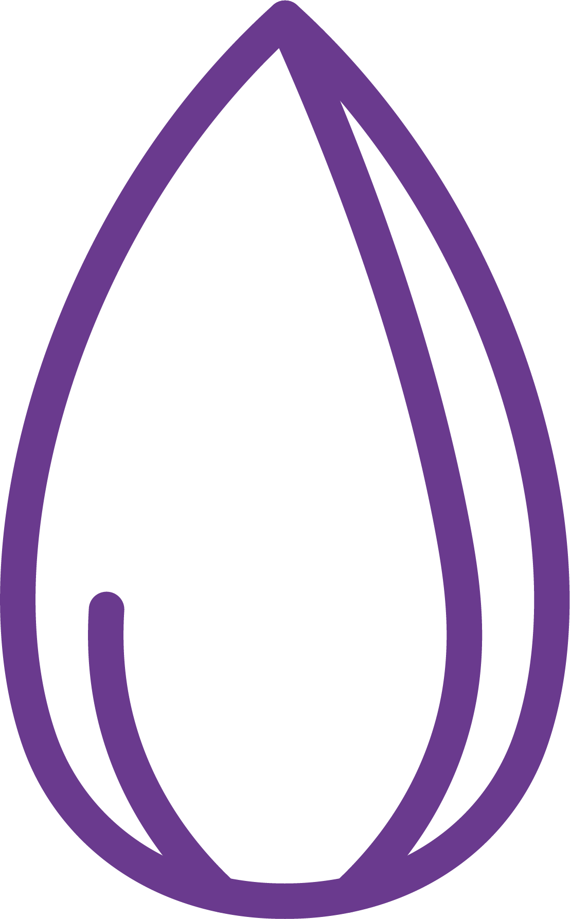 seed